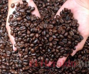 Hasta finales de noviembre, la cosecha de café 2021-2022 estaba dejando resultados positivos para los productores hondureños.