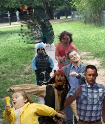 Niña corre aterrorizada de un pavo real y le hacen graciosos memes