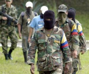 En Colombia, las FARC se han acabado convirtiendo en un importante cartel de la droga (Foto: AFP/ El Heraldo Honduras/ Noticias de Honduras)