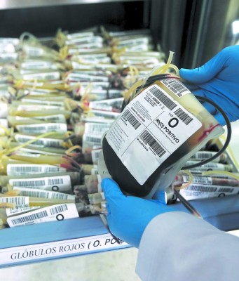 Estricto control a donantes de sangre para prevenir el zika
