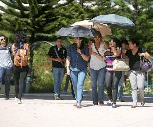 En Honduras, los casos de cáncer se registran con más frecuencia en las mujeres.