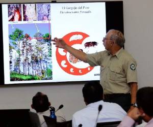 El Comité Interinstitucional analizó el problema que causa el gorgojo.
