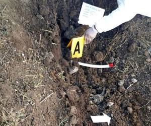 Las autoridades hacen una exhaustiva búsqueda de más cuerpos en Renaciendo.