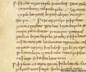 El Bald's Leechbook es uno de los libros médicos más antiguos conocidos.