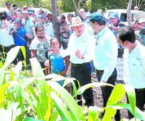Hernández exhortó a las personas a volver a los huertos familiares.