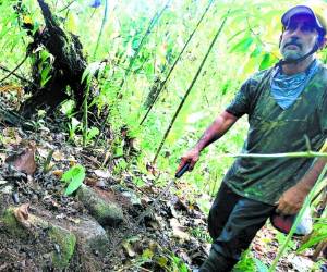 El equipo de EL HERALDO se internó en la selva para dar con algunos vestigios de Ciudad Blanca, descubierta por el cartógrafo Francisco Macoto Cruz.