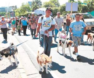 La ley ha generado polémica.