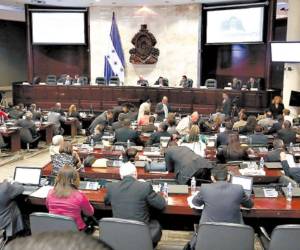 Luego de la desición los diputados realizaron un debate sobre el dictamen de la solicitud de plebiscito.