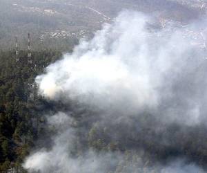 Incendio forestal registrado el jueves en Cantagallo. (Fotos: Mario Urrutia)