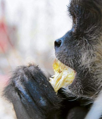 Descanso y diversión en un solo lugar