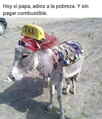 ¡A reír! Disfruta los mejores catrachistes de la semana