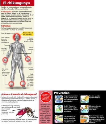 Honduras: 12 mil casos de chikungunya