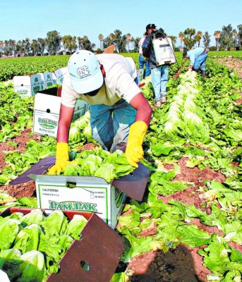Honduras creará hoja de ruta para garantizar ampliación del Estatus de Protección Temporal