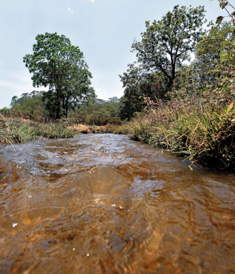 Fiebre del hierro daña ambiente de la aldea Agalteca, Cedros