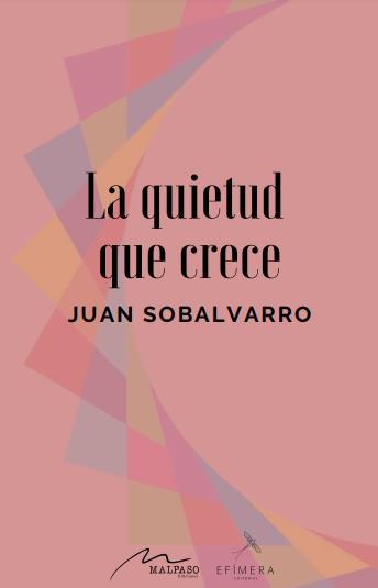 Juan Sobalvarro: La quietud que crece