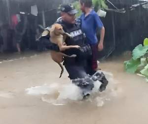 Elementos de la Policía Nacional apoyar las labores de evacuación en el municipio de Omoa, en el departamento de Cortés. La zona norte vive un completo caos.