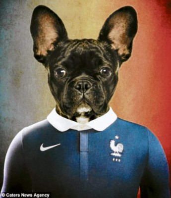 El mundial se pone de 'perros”