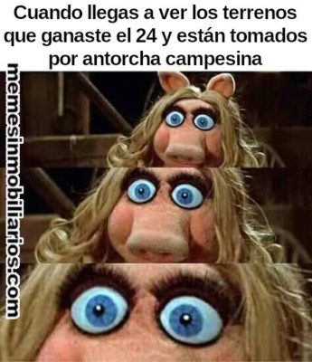 Los divertidos memes que desataron las peleas de terrenos en Navidad&nbsp;&nbsp;