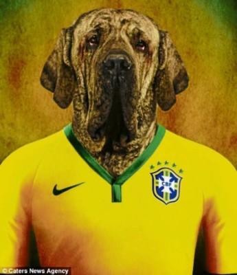 El mundial se pone de 'perros”