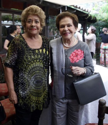 Almuerzo solidario de damas diplomáticas