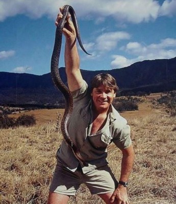 20 fotos que demuestran el increíble parecido entre Robert Irwin y su padre