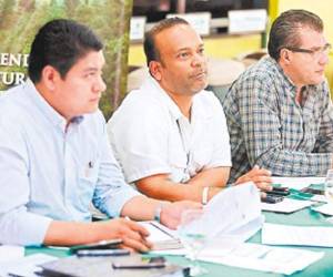 Misael León, del ICF, José Antonio Galdames, de Mi Ambiente, y técnicos forestales hablaron sobre la afectación del gorgojo de pino