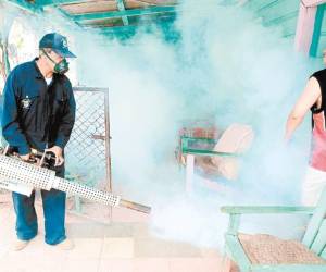 El éxito le es atribuido a los mega operativos de limpieza y fumigación a nivel nacional, según la Secretaría de Salud.