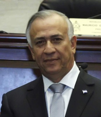 CN pedirá opinión sobre solicitud de plebiscito