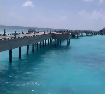 Georgina Rodríguez sorprende con sus fotos en su cumpleaños