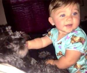 El perrito nunca se fue del lugar a pesar que las llamas lo estaban quemando.