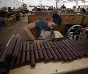 En el departamento de producción trabajan aproximadamente 40 personas por cada módulo.