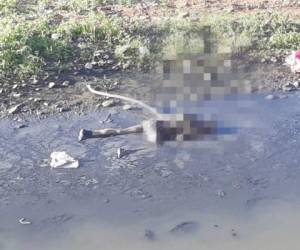 Hasta el momento se desconoce las causas de muerte de la personas hallada en el río. (Foto: Estalin Irías/ El Heraldo Honduras/ Noticias Honduras hoy)