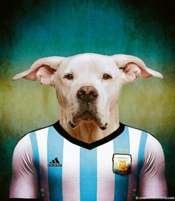 El mundial se pone de 'perros”