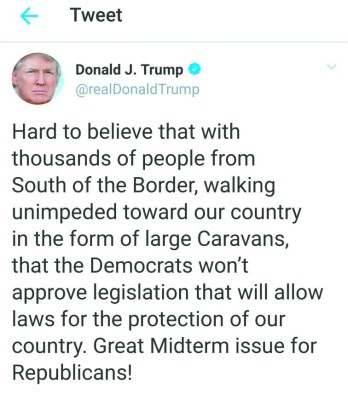 Trump aprovecha la caravana para hacer política en Estados Unidos