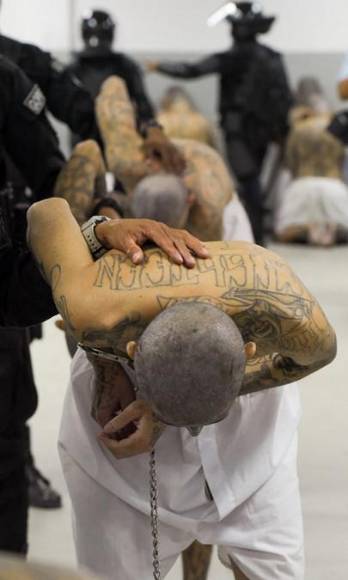 “Será su nueva casa, donde vivirán por décadas, mezclados”: Nayib Bukele tras traslado de pandilleros a megacárcel