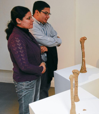 Arte salvadoreño se expone en Mujeres en las Artes