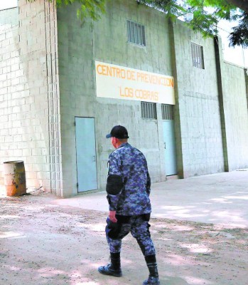 Con sapos espantaron al personal