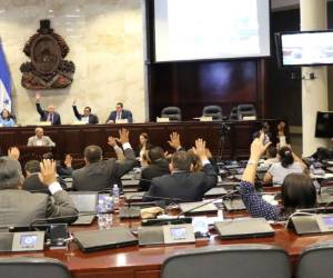 En lo que va de este período legislativo el Congreso Nacional ha sido escenario de grandes debates debido a la polarización de este poder del Estado, donde ningún partido tiene mayoría simple ni calificada.