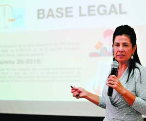 La directora del SAR, Miriam Guzmán, explicó la base exenta.