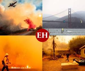 Imágenes apocalípticas... así se resumen los incendios en California. Las sofocantes llamas han cobrado por lo menos seis vidas y forzado a miles de personas a desalojar sus viviendas, mientras se agotan los recursos de los bomberos debido a la extensión del incendio.Esta es una recopilación de las impactantes imágenes y la destrucción por el fuego. Fotos AFP.