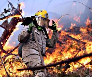 Familiares y autoridades rindieron un homenaje a los bomberos que perdieron la vida en un incendio forestal en La Montañita.