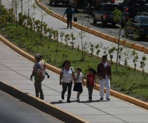 La Alcaldía Municipal, será la encargada de darle mantenimiento a la infraestructura de Trans 450.