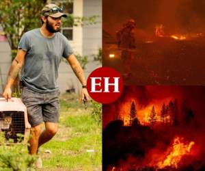Los incendios forestales en California han quemado un récord de más de 800,000 hectáreas en lo que va de año, dijo el lunes el Departamento de bomberos de ese estado del oeste de Estados Unidos, mientras las autoridades luchan para rescatar a decenas de personas atrapadas por las llamas. Fotos AFP.