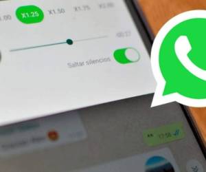 WhatsApp prepara cambios importantes como ser el soporte multicuenta, la búsqueda por fecha y la limpieza de chats para su próxima versión.A continuación, te explicamos novedades, funciones y más datos interesantes de la aplicación de mensajería más usada en el mundo.
