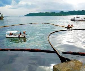 Los principales damnificados de los derrames de petróleo son la fauna y la flora del lugar. Foto AP.
