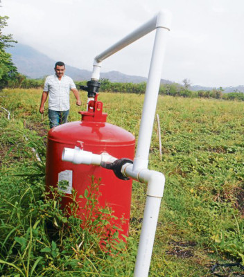 Diversifican producción agrícola en el valle de Jamastrán