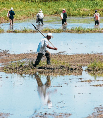 Mora y 'trabas' amenazan la producción de primera