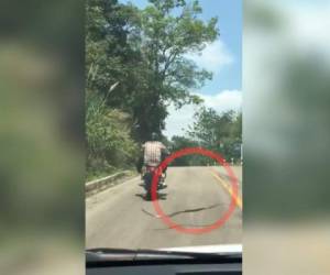 La cámara de un carro captó el salto del reptil para morder al motociclista.