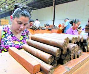 El rubro de tabaco abrirá 40 nuevas plazas laborales en el municipio de El Paraíso.
