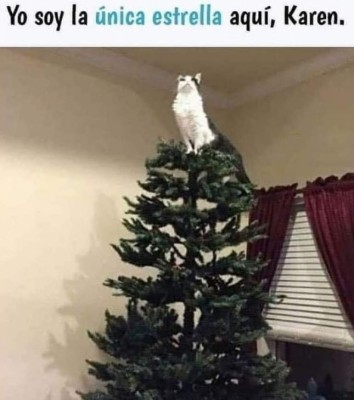 ¡Imperdibles! Los mejores memes de la llegada de Navidad